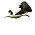 gaviotagif1_large